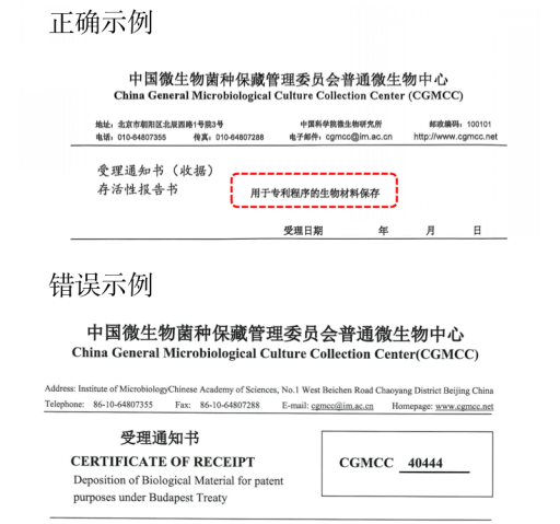 /web/files/2025-09-15/d9e0a31c1fd24545931ce4f35f27bdc6.png image.png